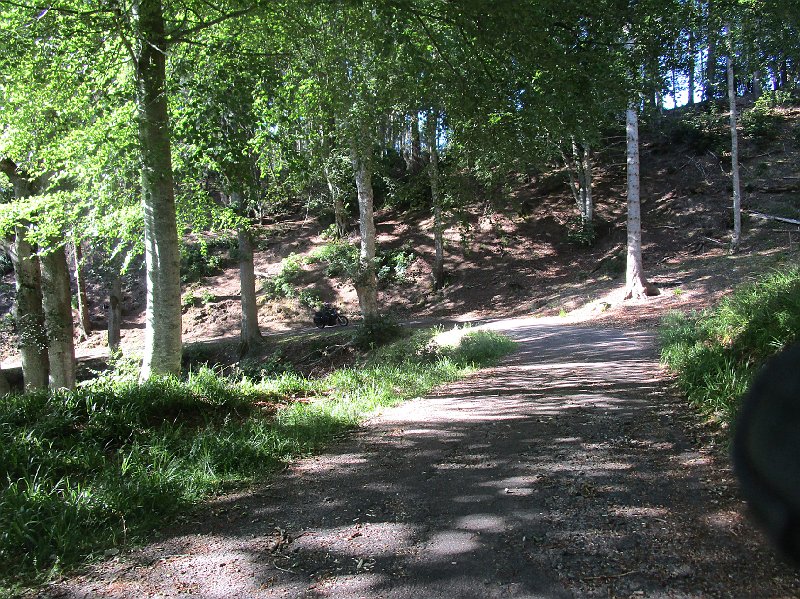 2018.06.30 Schottland Lossiemouth (1191).JPG